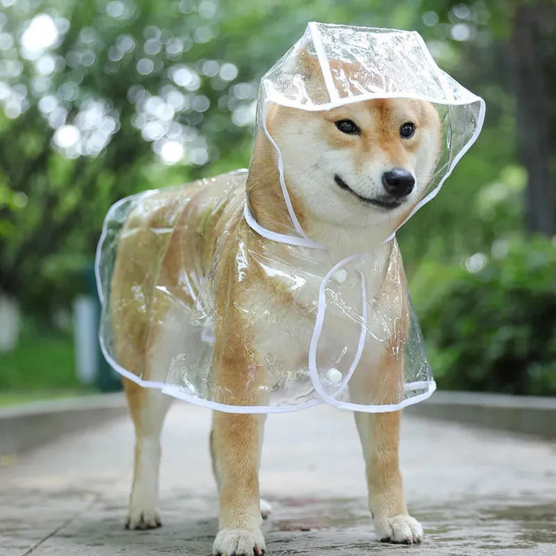 Flora Raincoat