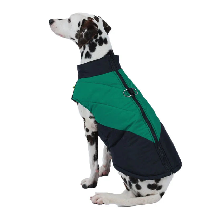 43572080804009|43572080869545|43572080967849|43572081000617|43572081033385|43572081066153|43572081098921|43572081131689