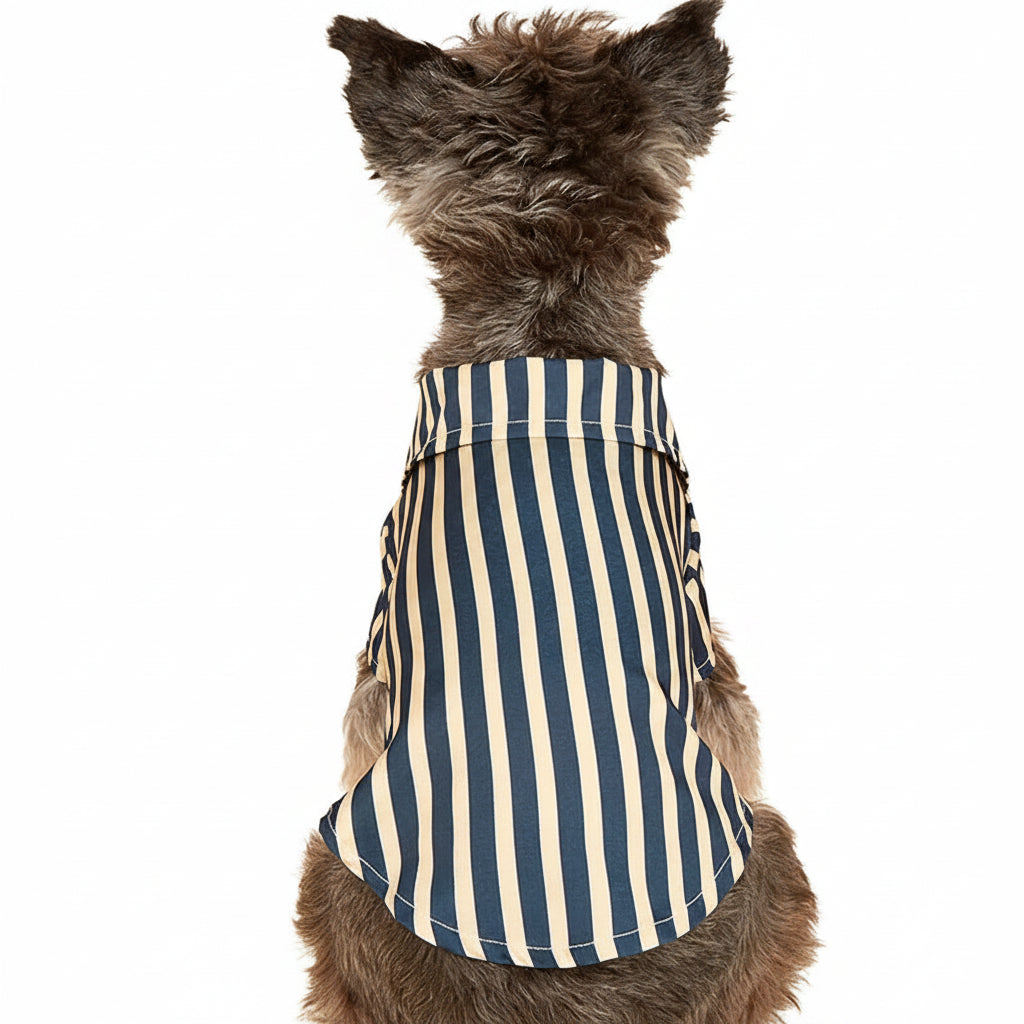StripeCool