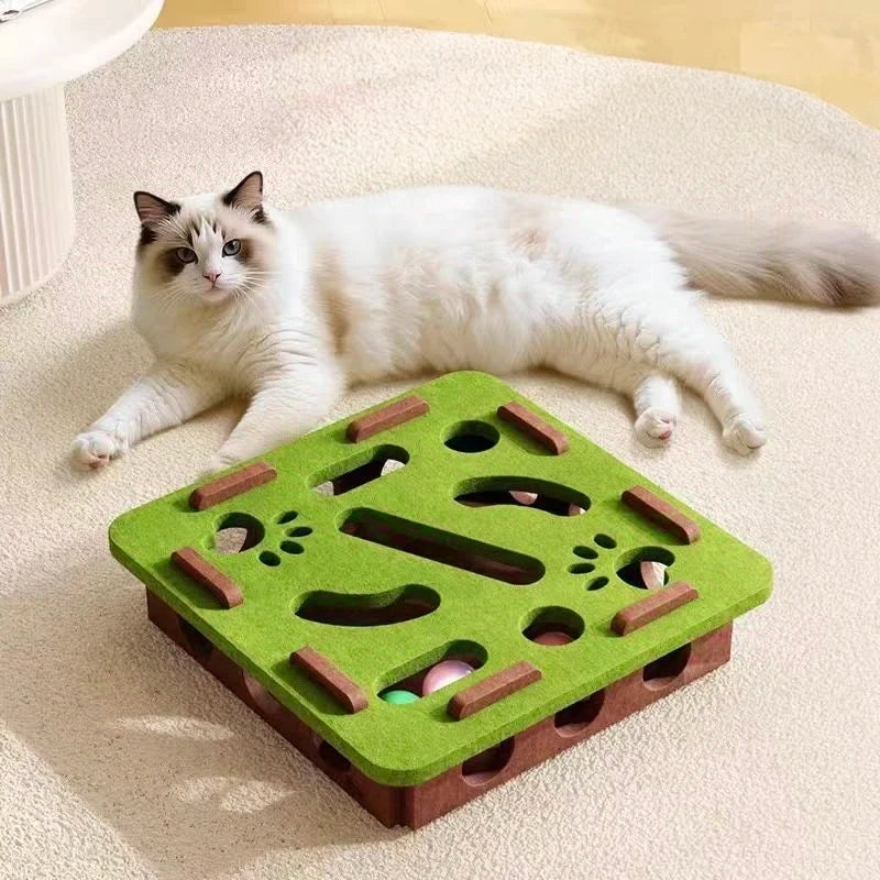 PawMaze