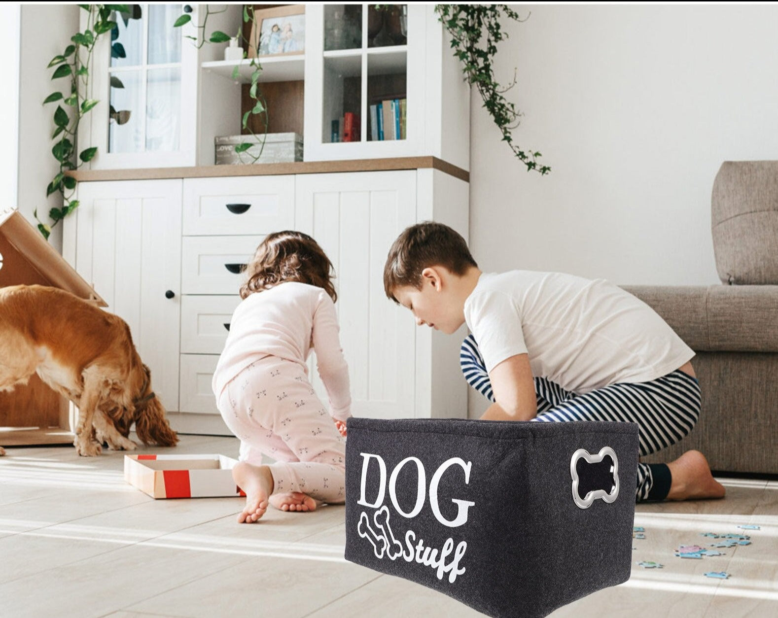 PetStuff Storage Box