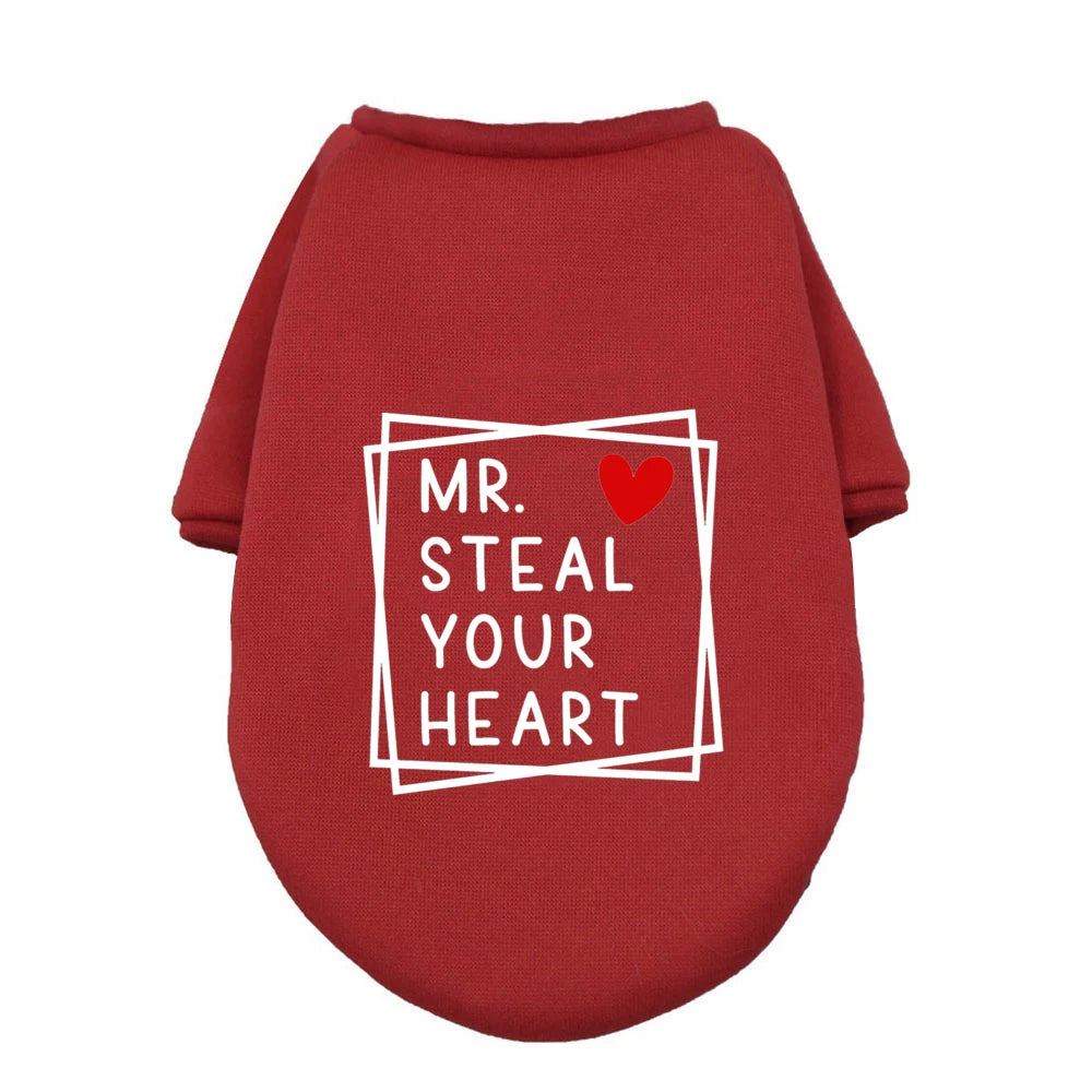 43577370017961|43577370083497|43577370149033