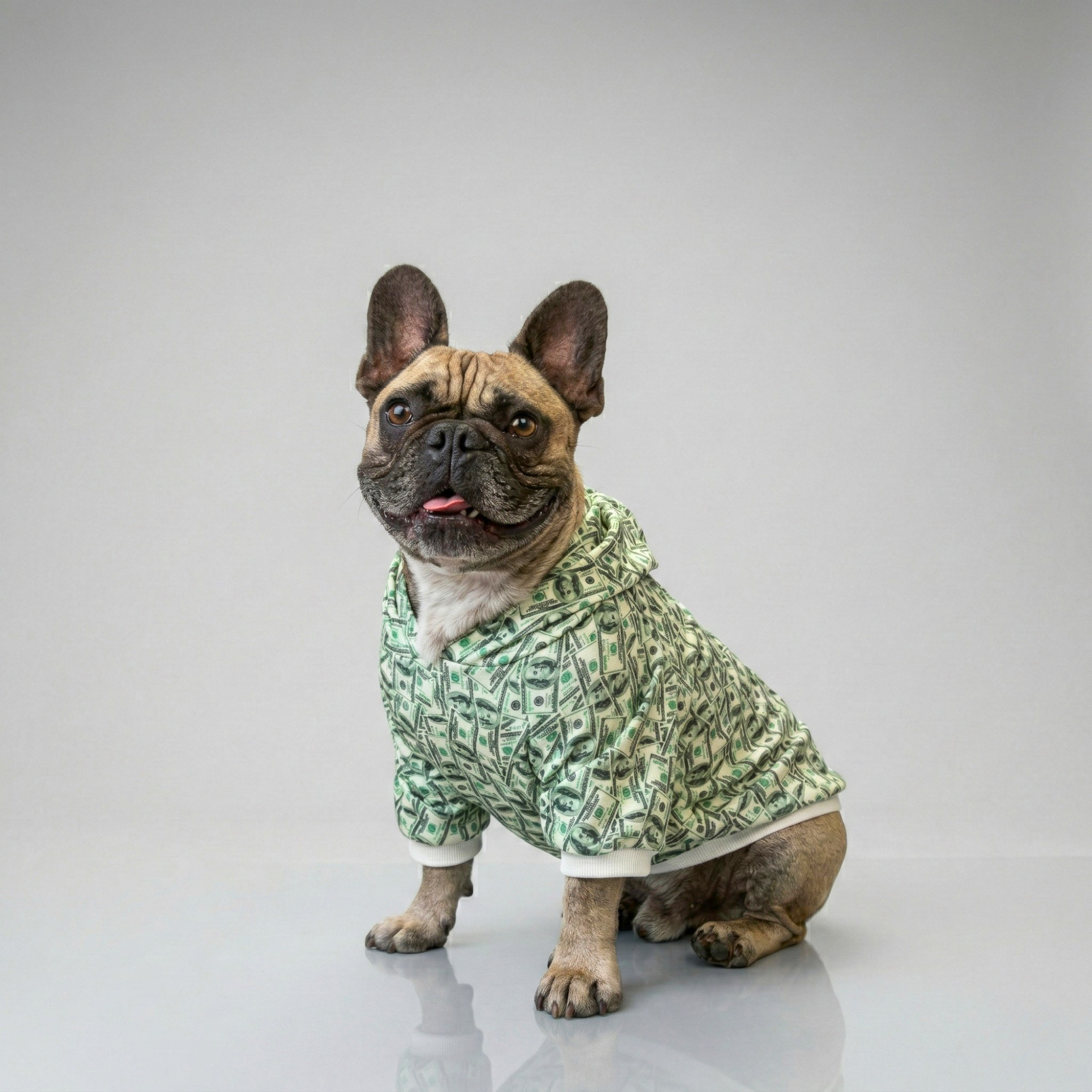 Dollar Hoodie