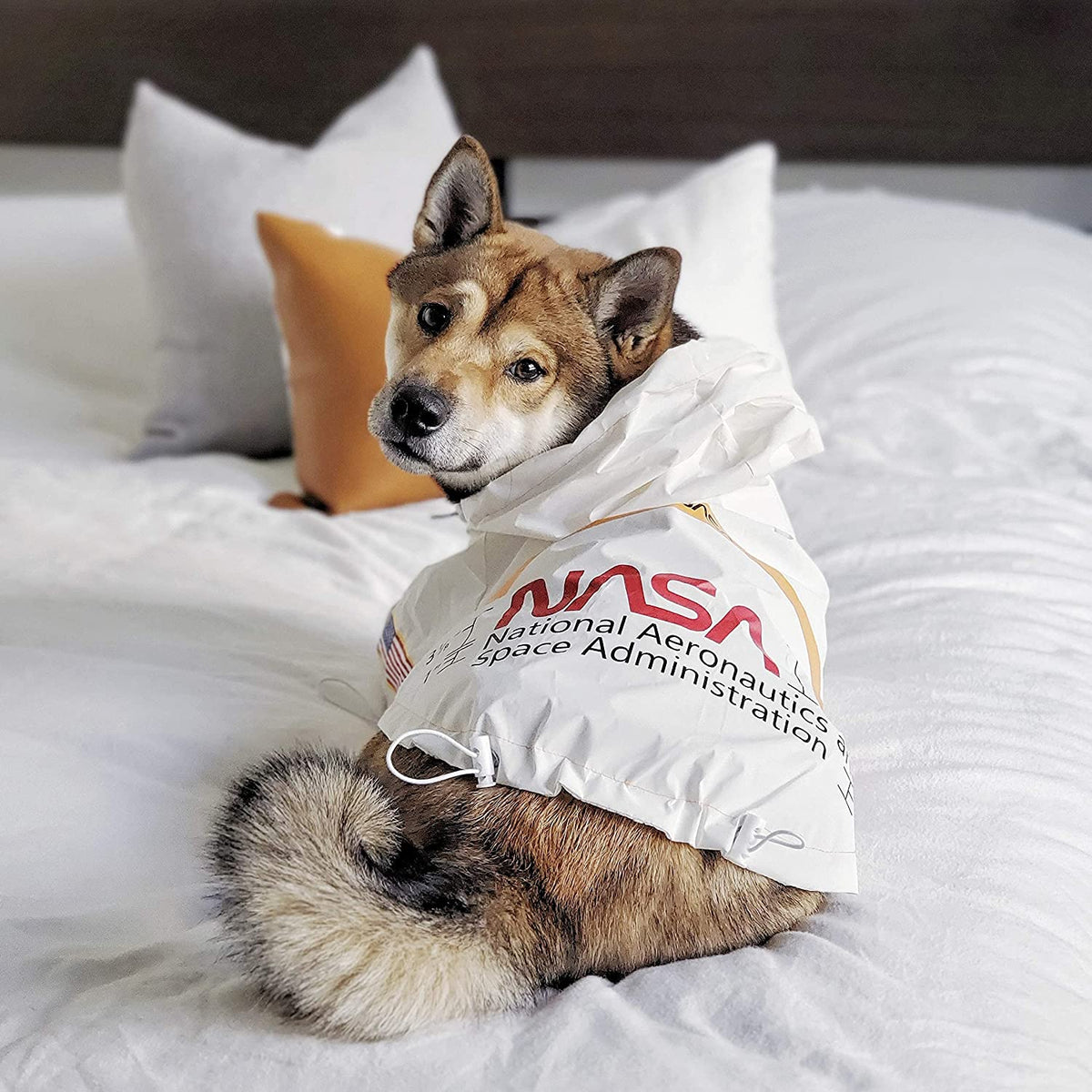 Space NASA