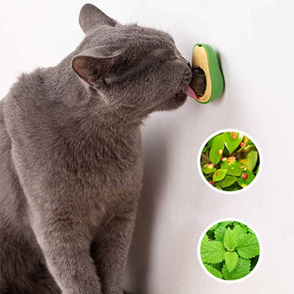 Avocado Catnips