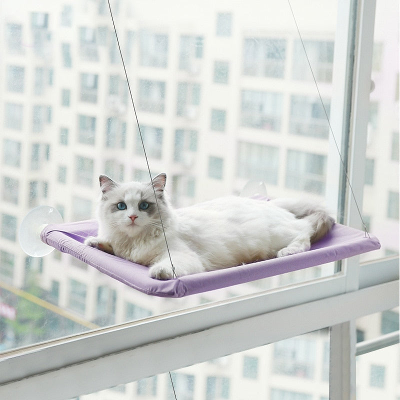 Cat Hammock