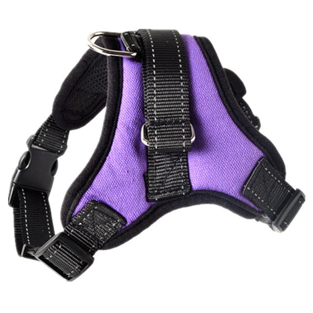 Rodman harness