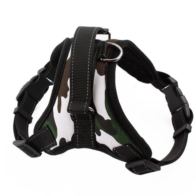 Camouflage harness