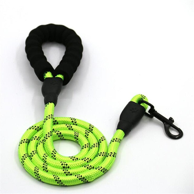 RIO Leash