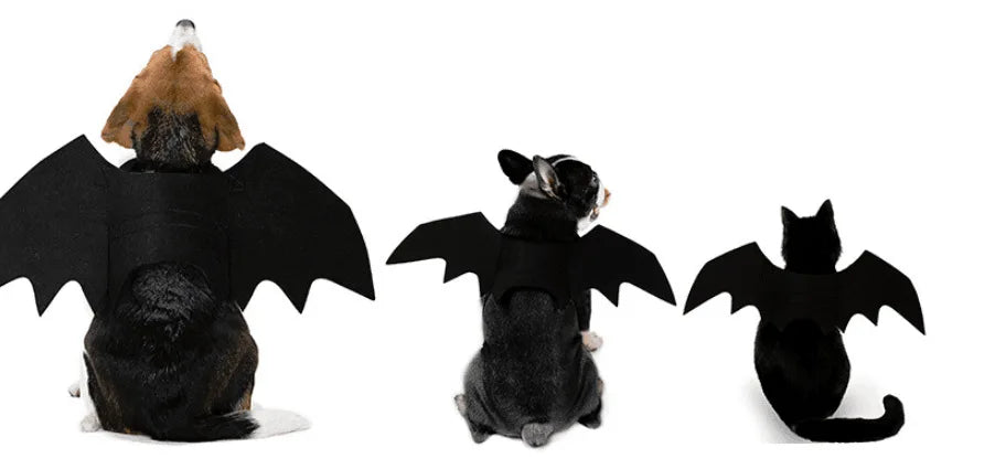 Bat Wings