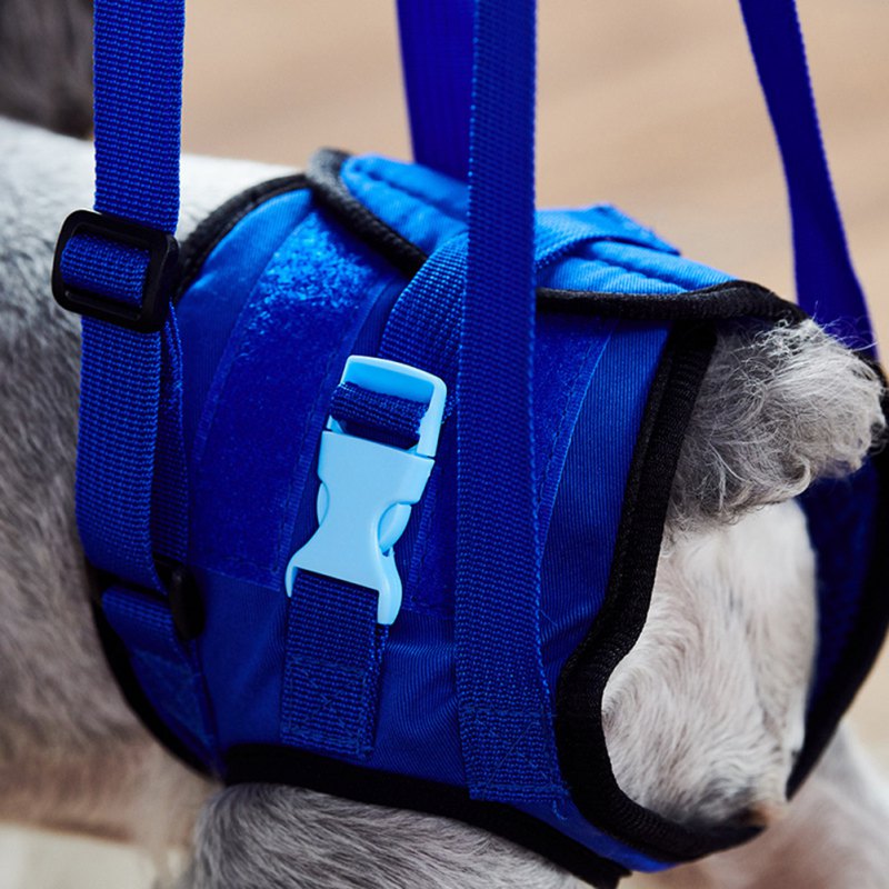 PawLift Rear Support