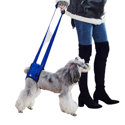 PawLift Rear Support