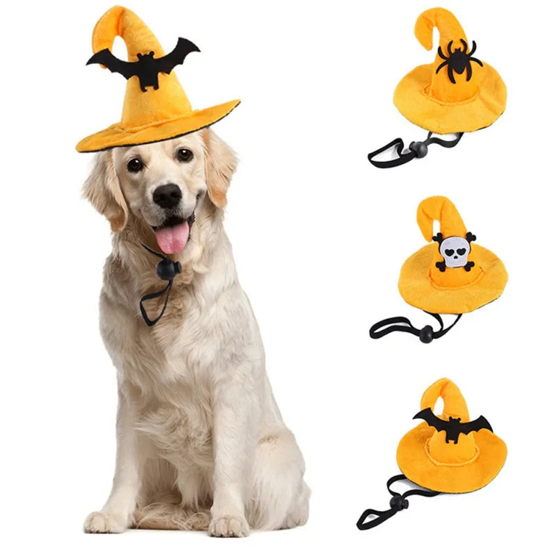 Witch Hat