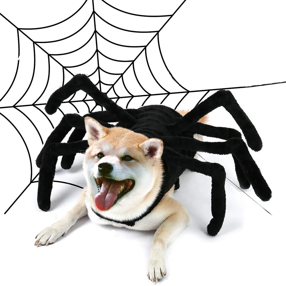 Web Spinner