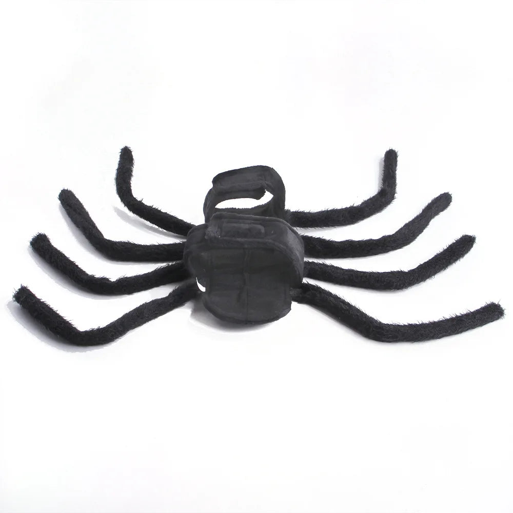 Web Spinner