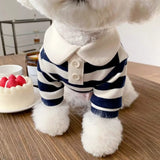 Pawlo Polo