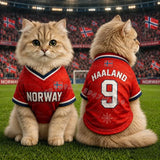 Haaland 9