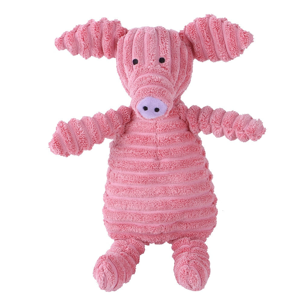 Pig