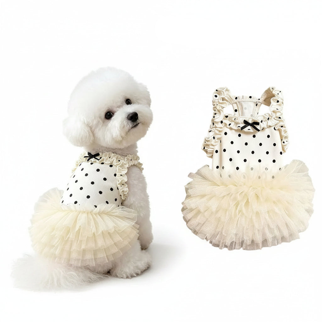 Dottie