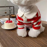 Pawlo Polo