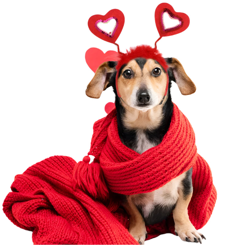 Heartfelt Headband