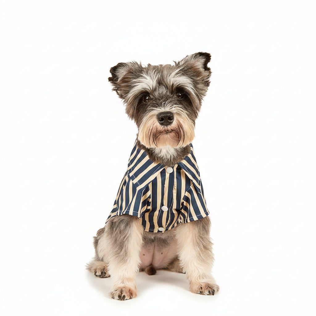 StripeCool