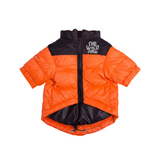 Orange and black The Dog Face jacket with 'The Wild Paw' logo on a light gray background