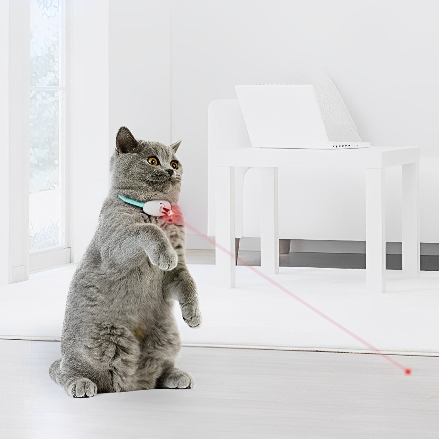 LASER collar