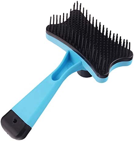 Maisy Groomer