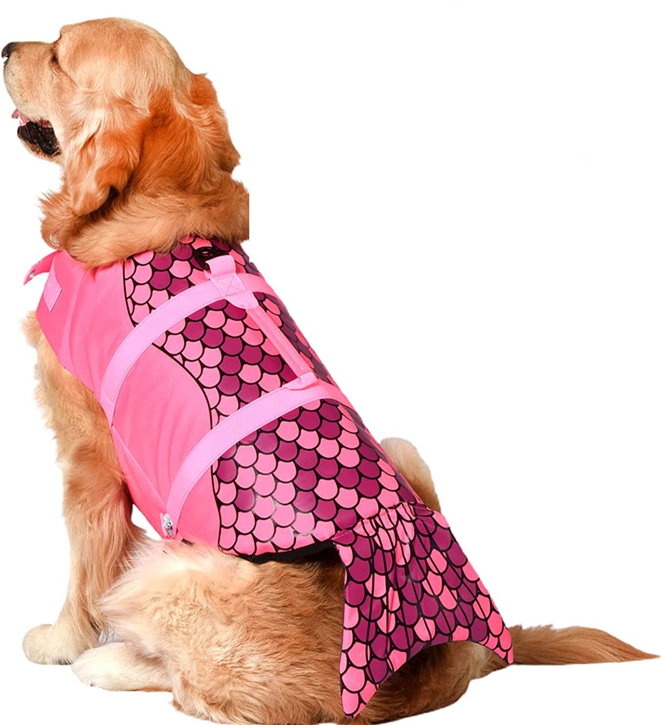 Mermaid Life Jacket