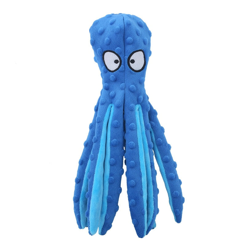 Baby octopus