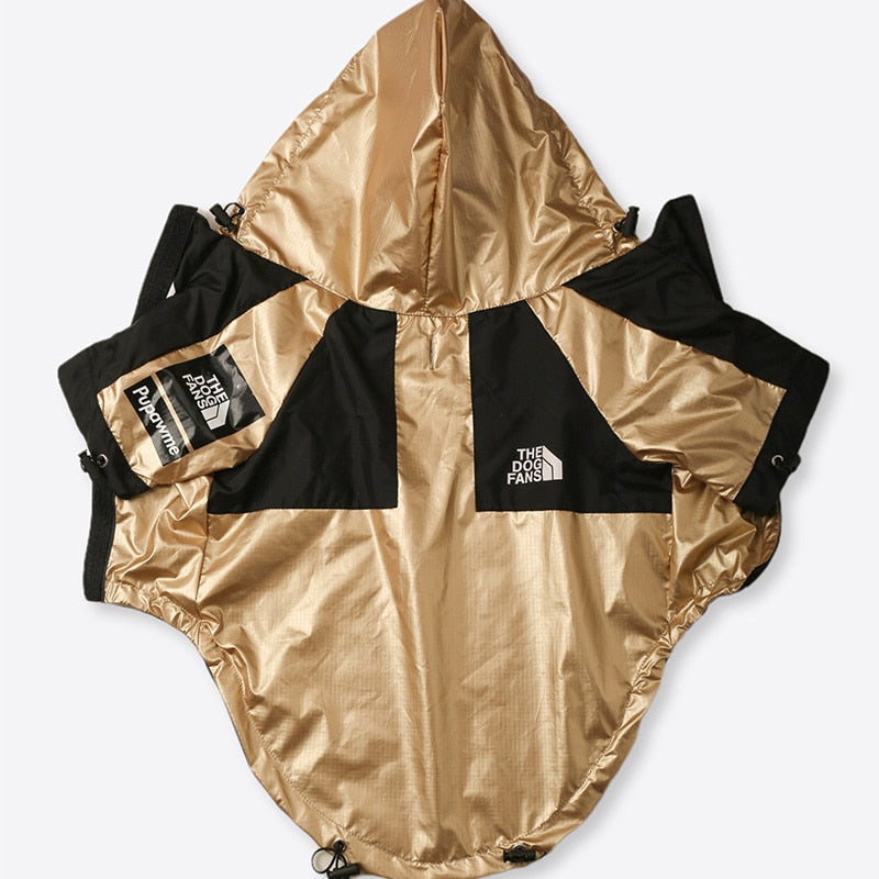 Golden Jacket