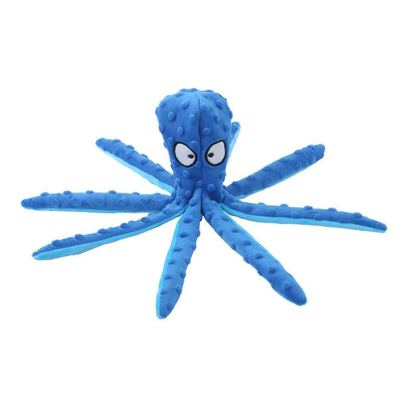 Baby octopus