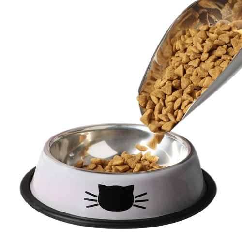 BITSA bowl