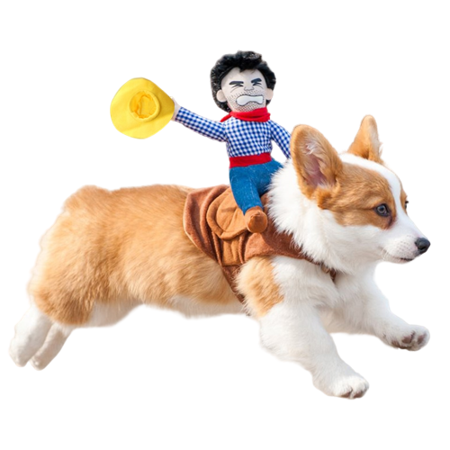 Cowboy Pet Pal