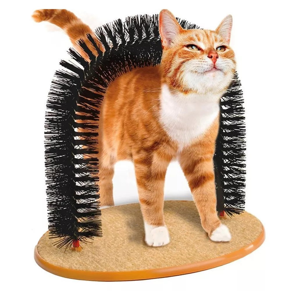 Maisy Brush