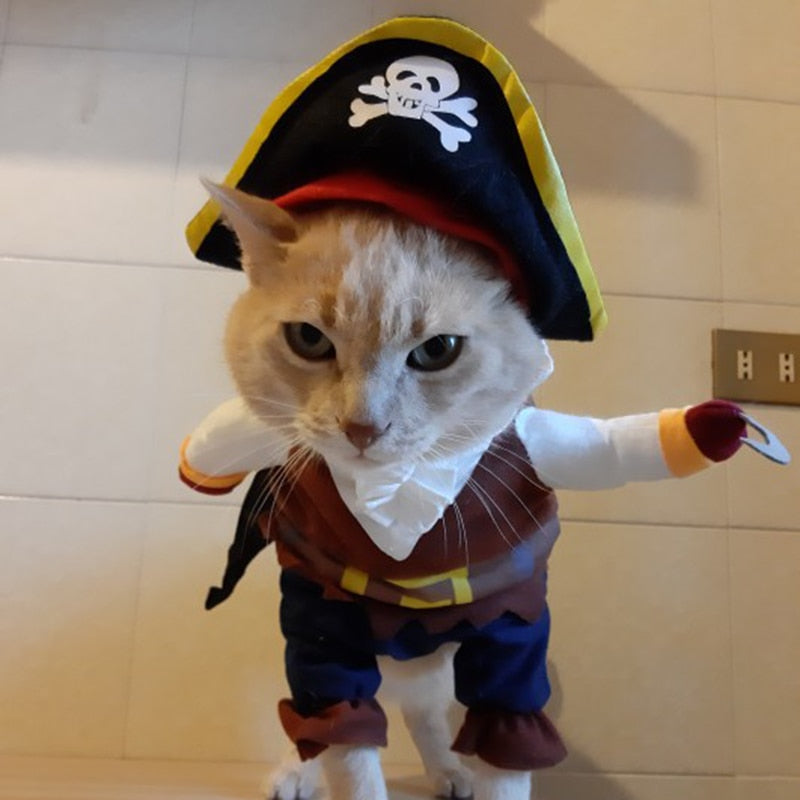 Pirates of The Caribbean