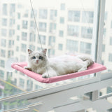 Cat Hammock
