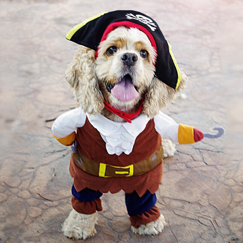 Pirates of The Caribbean