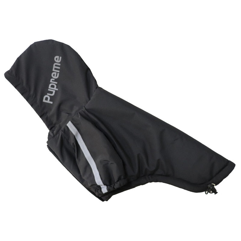 The Dog Face Raincoat