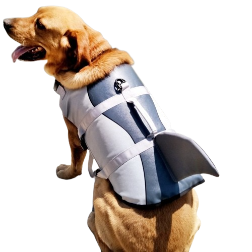 Shark Life Jacket