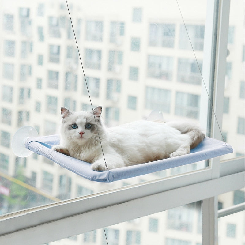 Cat Hammock