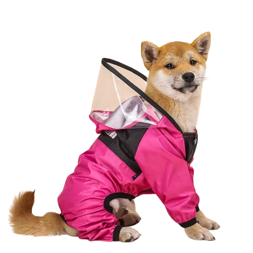 The Dog Face Antora Raincoat