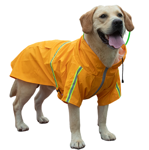 Hugo raincoat