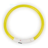 Luminous