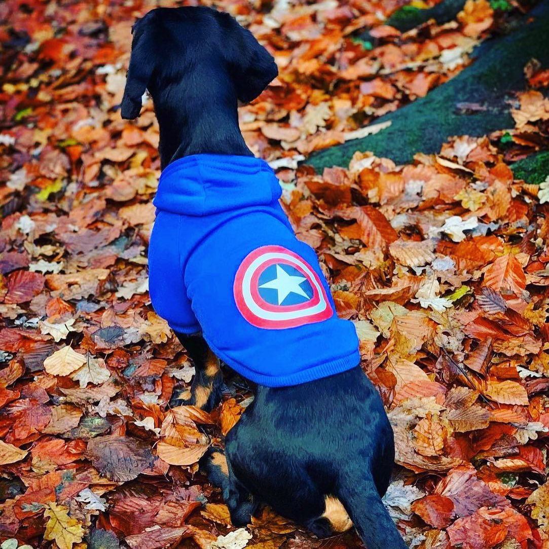 Avengers