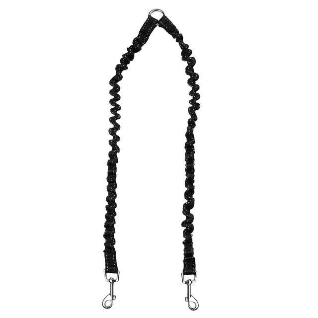 Double walking leash