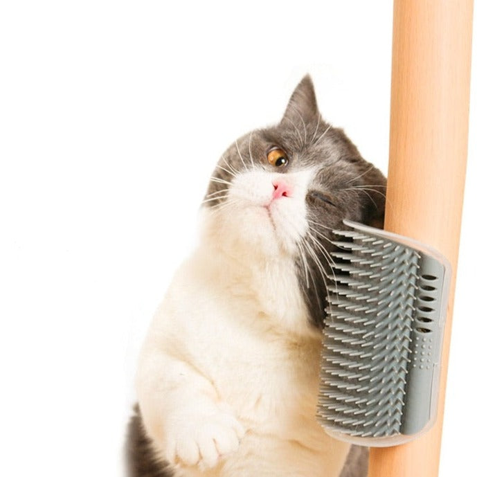 Corner Brush