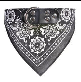 Neckerchief