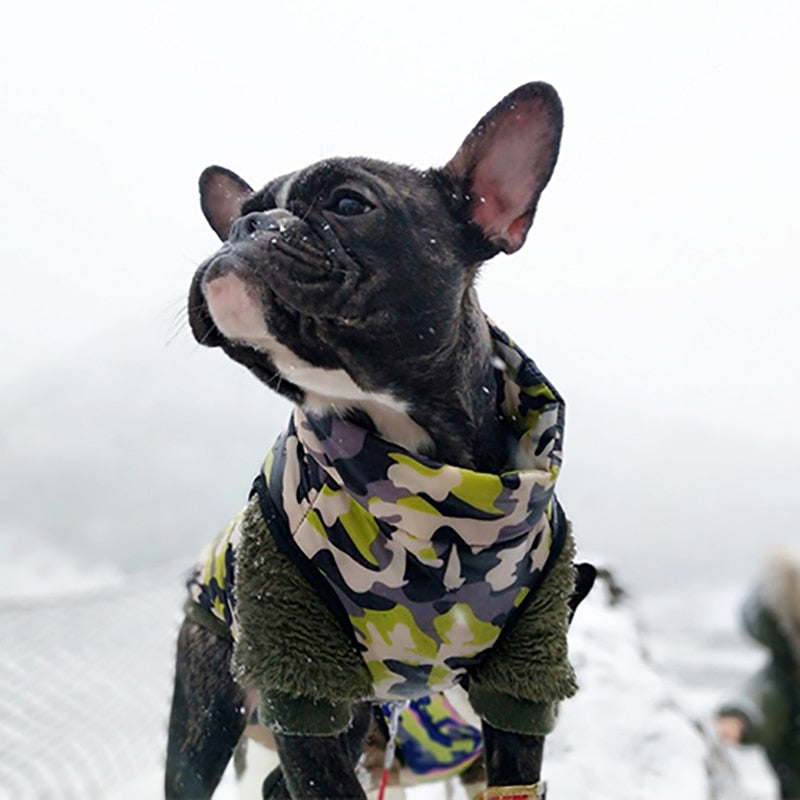 Camo